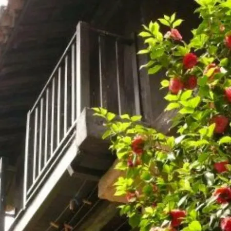 La Casina De Casa de Campo Celorio (Cangas de Onis)